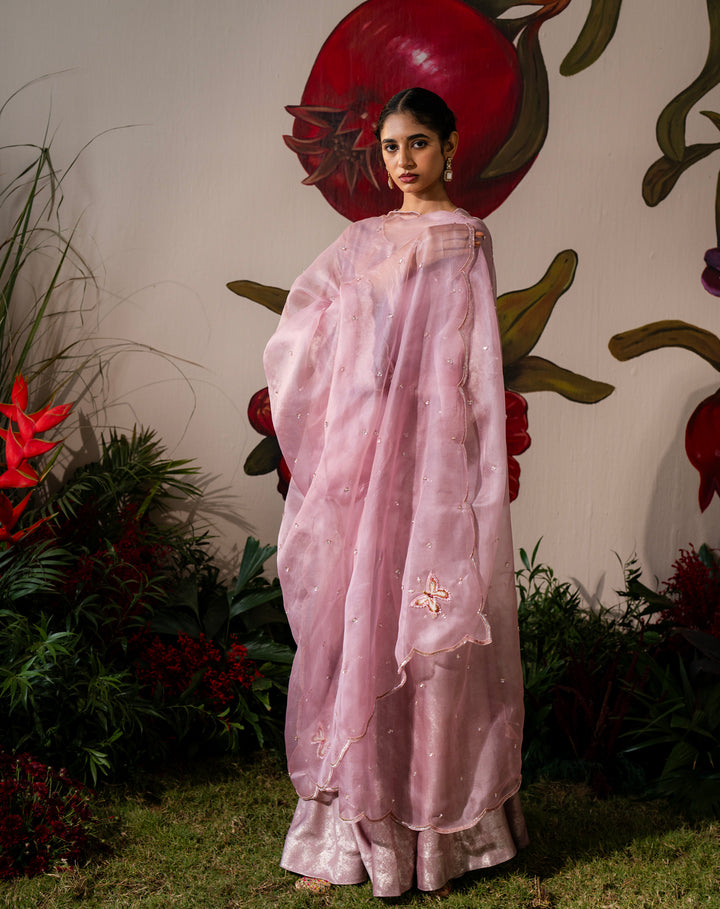 Zarin Flutter