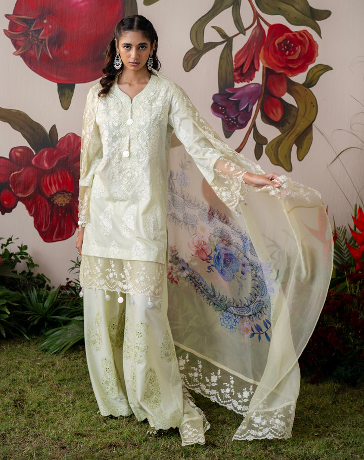 Shehnaaz Ivory Lemon Lawn Set